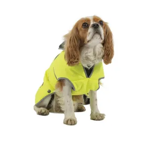 Ancol Stormguard Small/Medium Hi-Visibility Dog Coat