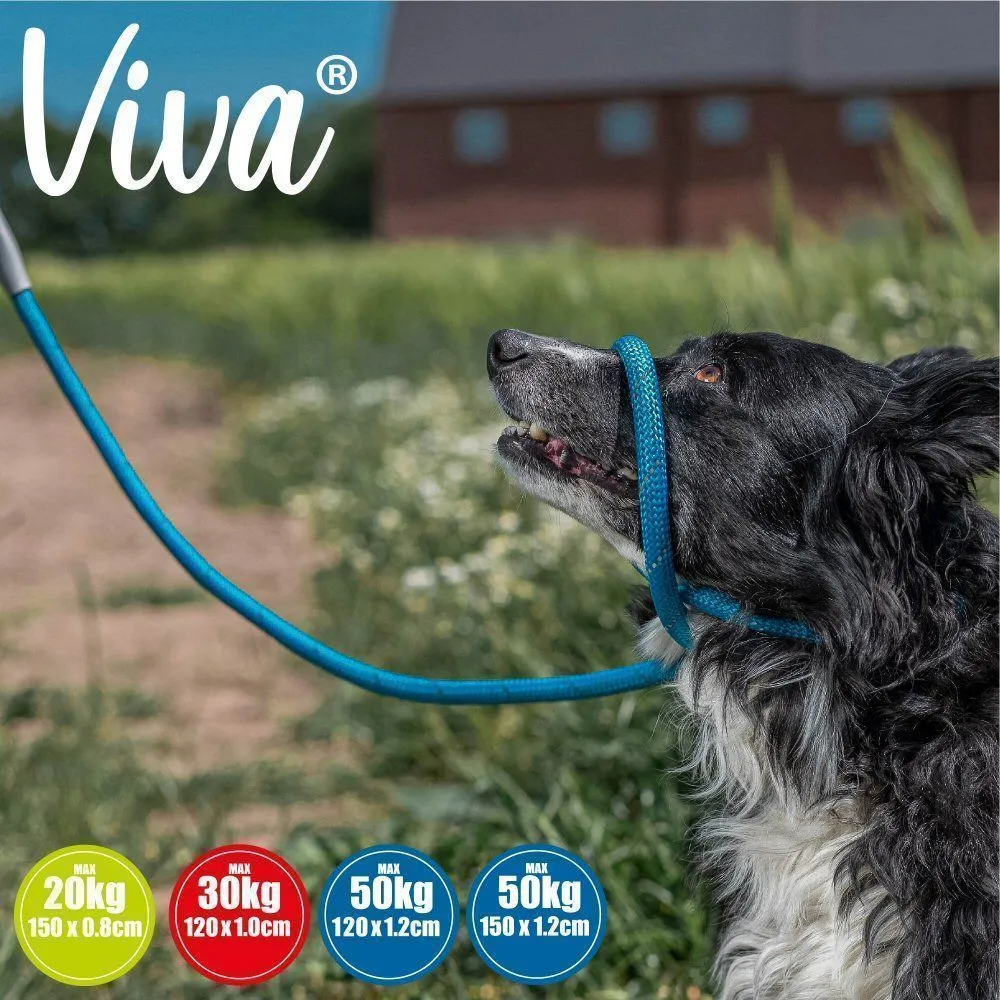 Ancol Viva 1.2m x 12mm Blue Poly-Weave Rope Slip Dog Lead