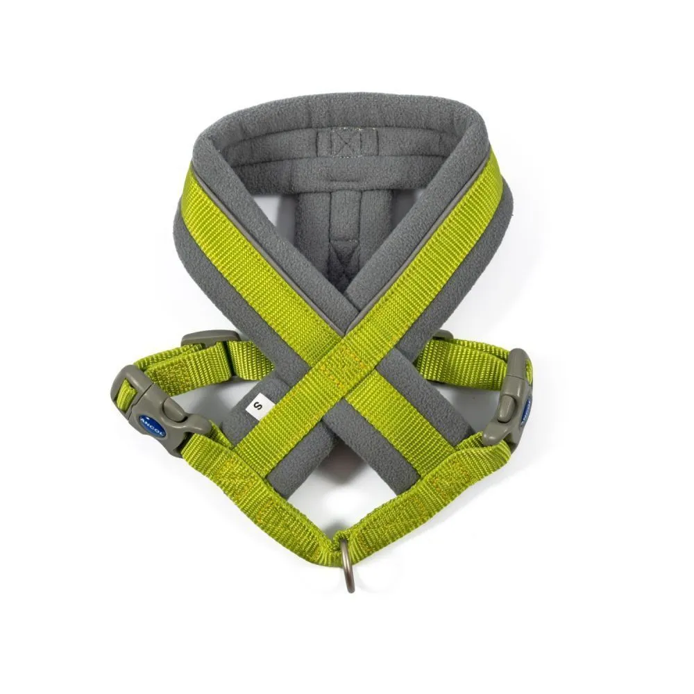 Ancol Viva Lime Green Padded Dog Harness