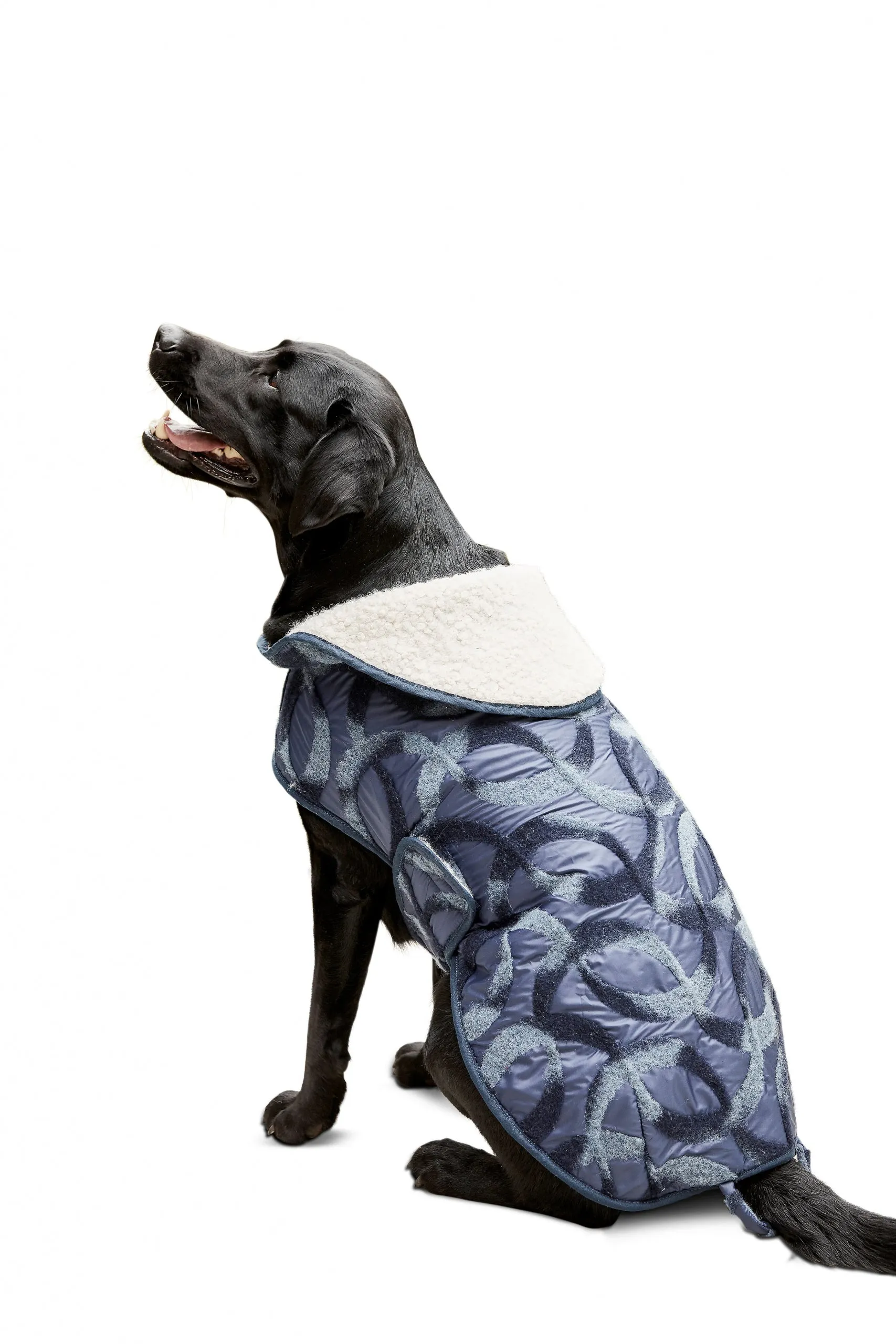 Burda Dog Coats 6049