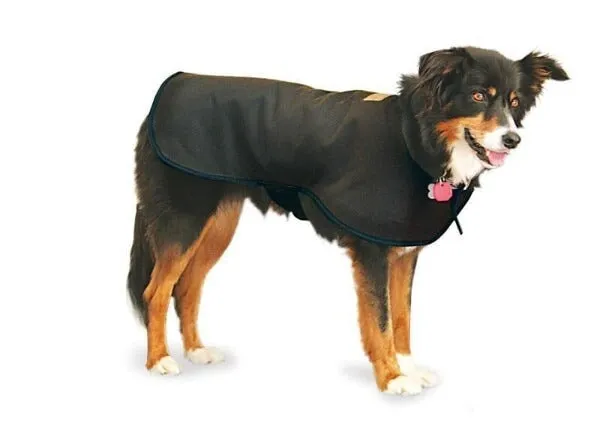 Dog Coats Oilskin Woollen